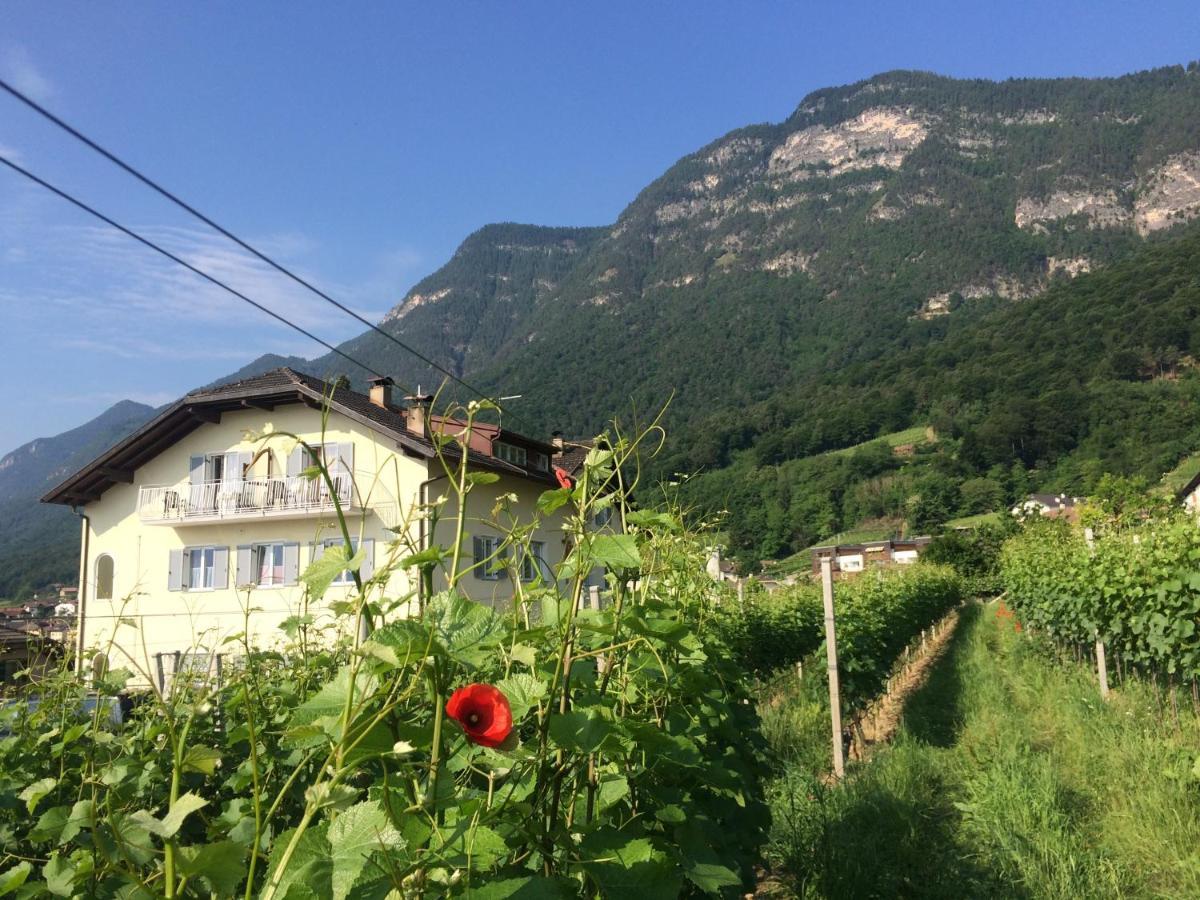 Strengen Guesthouse Caldaro Exteriör bild